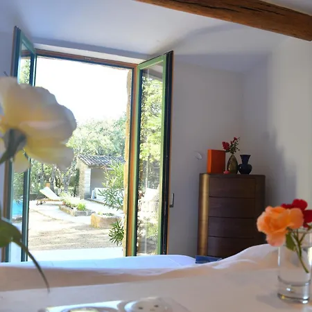 Villa La Piscine Dans La Foret *
