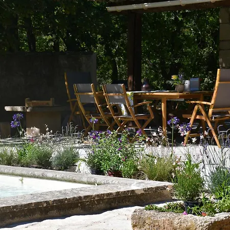 La Piscine Dans La Foret