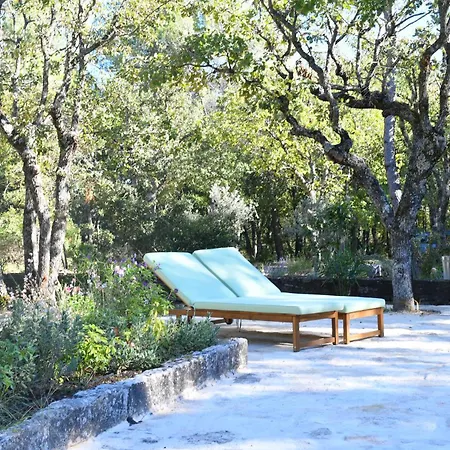La Piscine Dans La Foret *