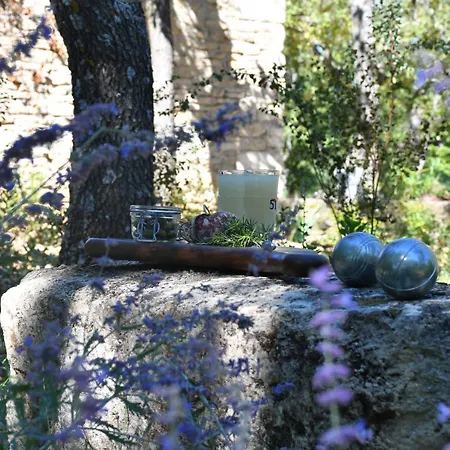 Villa La Piscine Dans La Foret