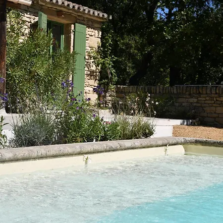 La Piscine Dans La Foret *